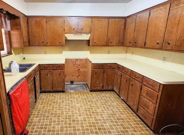 kitchen with sink