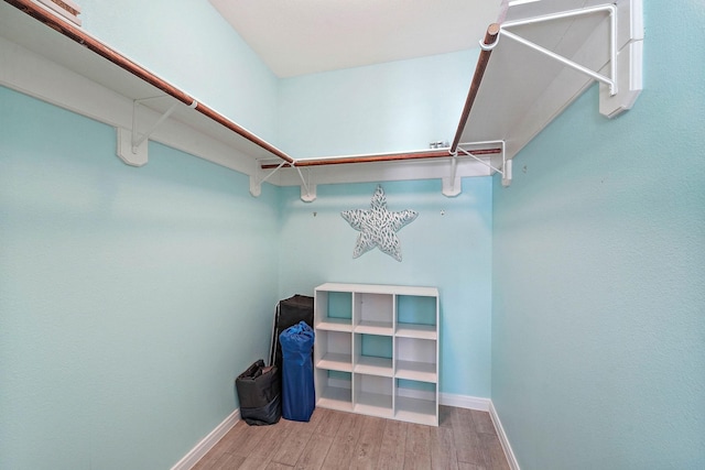 spacious closet with wood-type flooring