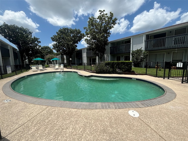 view of pool featuring a patio