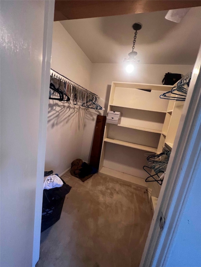 spacious closet with carpet flooring