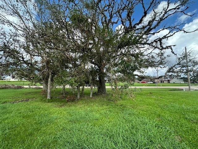 Listing photo 2 for 643 Lone Star Trl, Angleton TX 77515