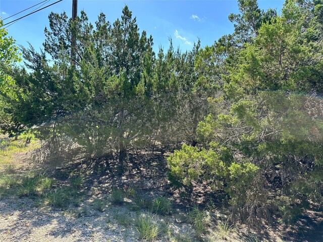 8911 Bar K Ranch Rd, Lago Vista, TX 78645 - photo 9
