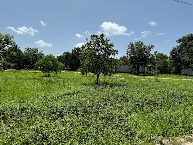 Listing photo 3 for 000 White Oak Dr, Trinity TX 75862