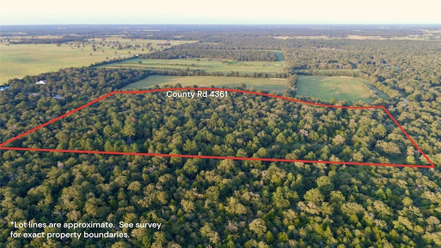 TBD County Road, Lexington TX, 78947 land for sale