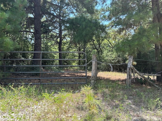 Listing photo 3 for TBD County Road, Lexington TX 78947