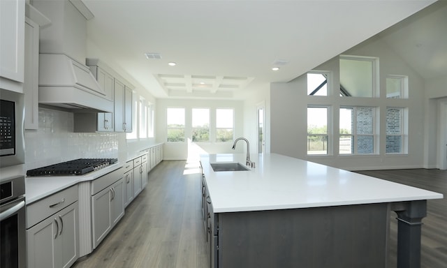 kitchen with a wealth of natural light, a kitchen island with sink, stainless steel appliances, and light hardwood / wood-style floors