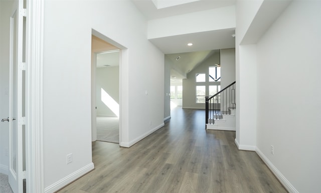 hallway with hardwood / wood-style flooring and high vaulted ceiling