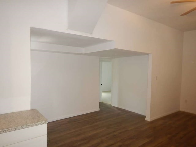 interior space featuring ceiling fan and dark wood-type flooring