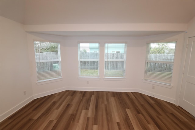 spare room with plenty of natural light and dark hardwood / wood-style floors