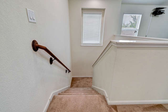 staircase featuring carpet