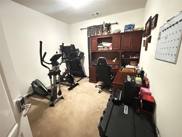 office area with a textured ceiling and light colored carpet