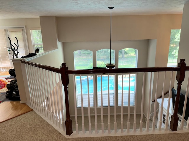 stairs with hardwood / wood-style floors, a wealth of natural light, and a textured ceiling