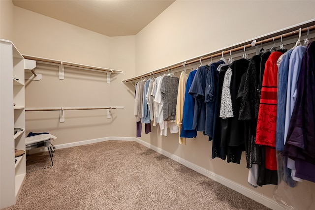 walk in closet featuring carpet flooring