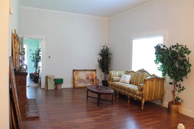 living area with dark wood-type flooring and crown molding