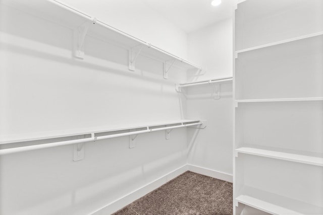 walk in closet featuring carpet floors