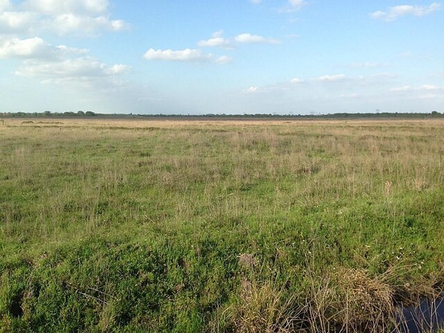 27510 Longenbaugh Rd, Katy, TX 77493