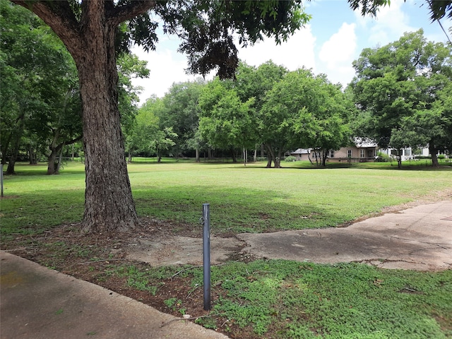 Listing photo 2 for 000 N Grace St, Crockett TX 75835