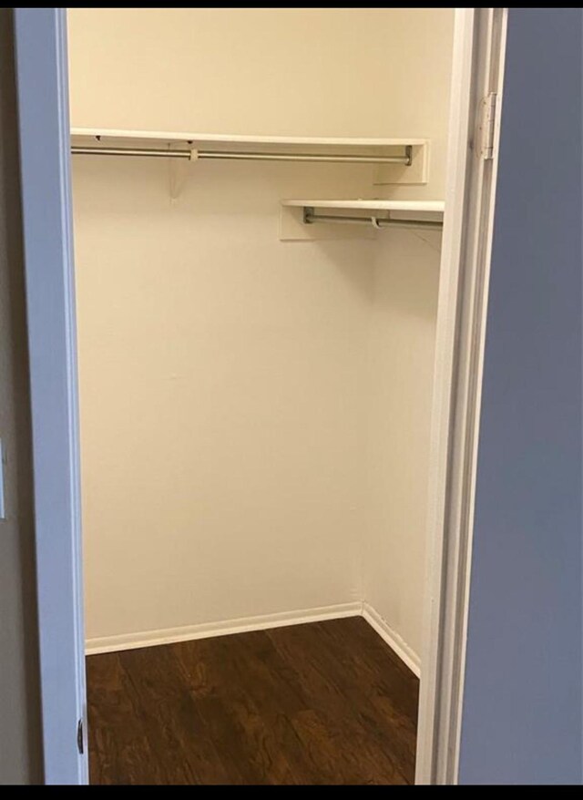 walk in closet featuring dark hardwood / wood-style flooring