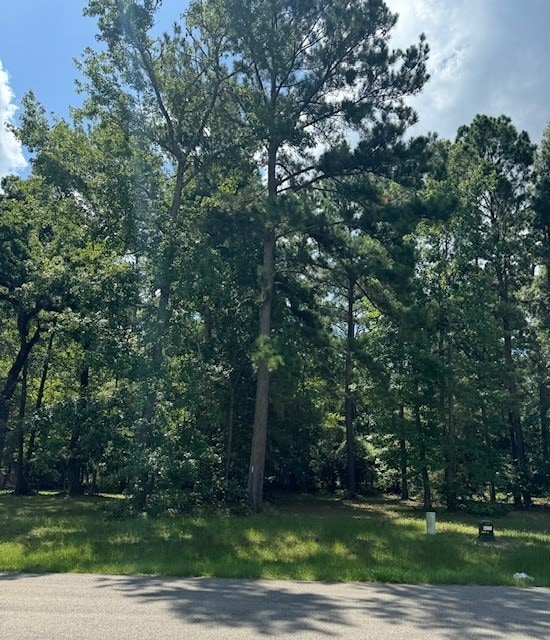 85 N Forest Dr, Huntsville TX, 77340 land for sale