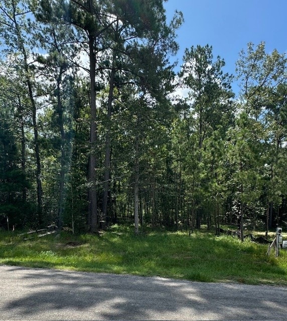 109 N Forest Dr, Huntsville TX, 77340 land for sale