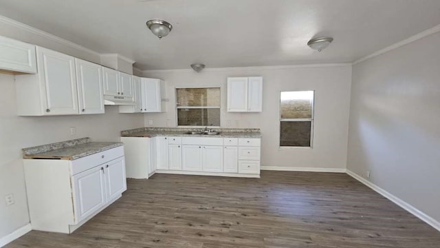 kitchen featuring ornamental molding, dark hardwood / wood-style floors, and white cabinets