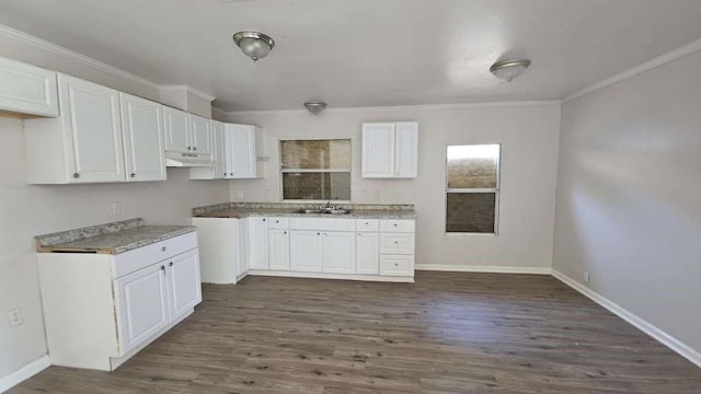11942 Greensbrook Forest Dr, Houston, TX 77044 - kitchen with under cabinet range hood, white cabinets, a sink, dark wood finished floors, and ornamental molding