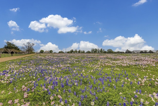 400 E Mill St, Round Top, TX 78954 - photo 1