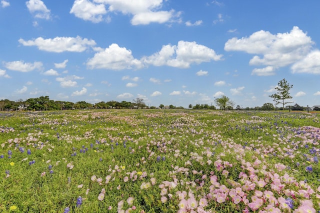 400 E Mill St, Round Top, TX 78954 - photo 4