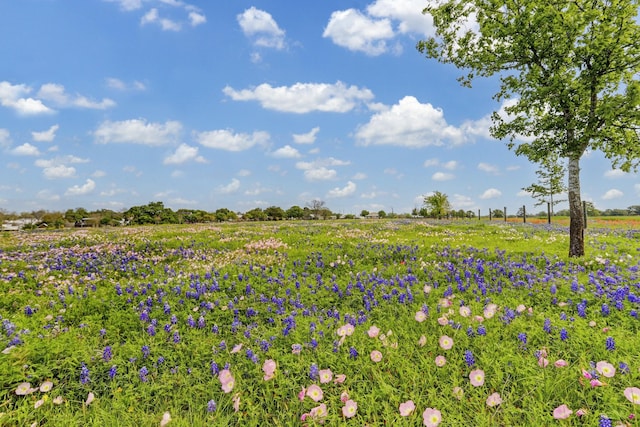 400 E Mill St, Round Top, TX 78954 - photo 7