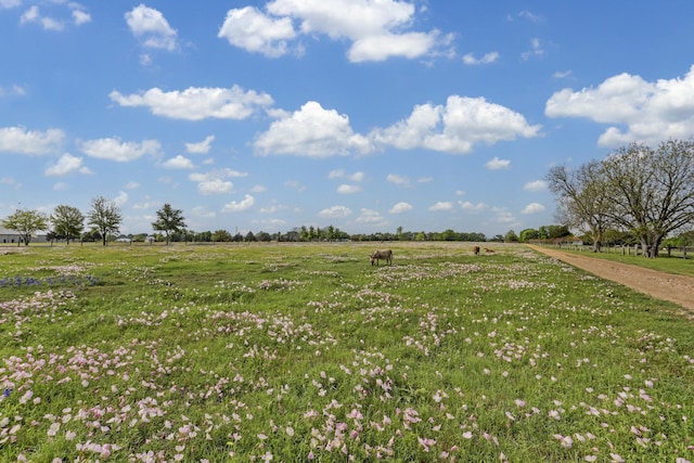 400 E Mill St, Round Top, TX 78954 - photo 18