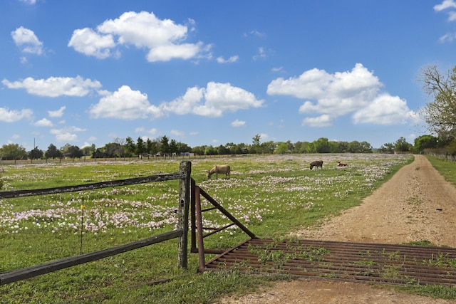 400 E Mill St, Round Top, TX 78954 - photo 12