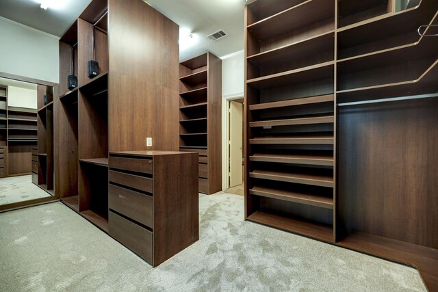 spacious closet featuring light colored carpet