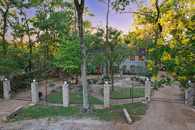 view of yard at dusk