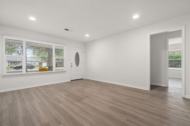 foyer featuring wood-type flooring