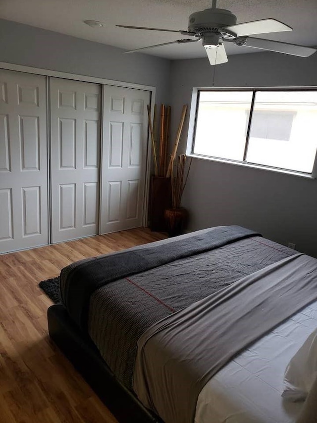 bedroom featuring ceiling fan and wood-type flooring