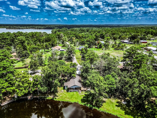 birds eye view of property with a water view and a wooded view