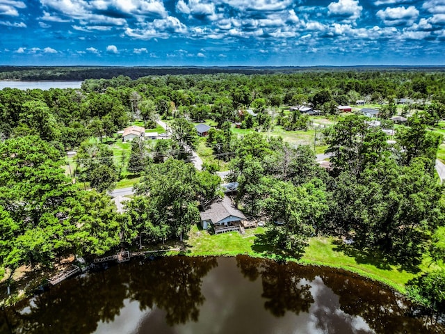 bird's eye view with a water view and a forest view