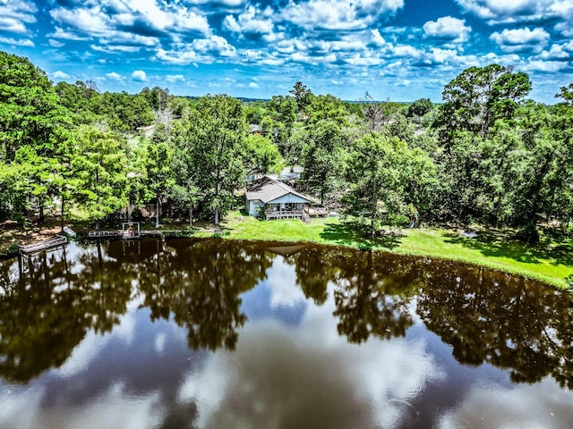 water view featuring a view of trees