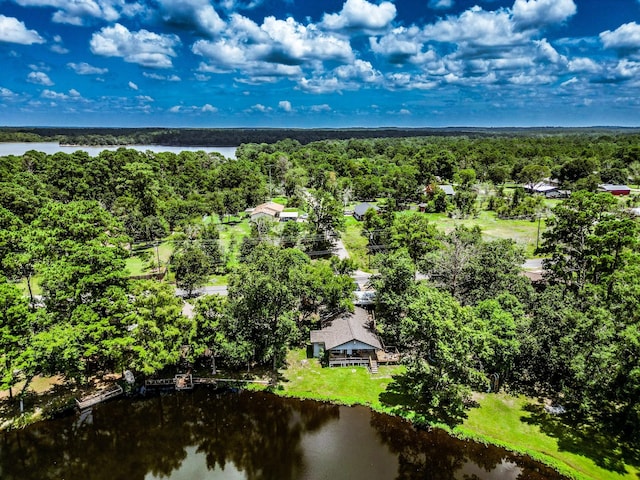 drone / aerial view featuring a water view and a view of trees