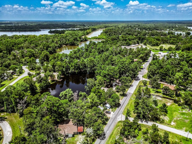 birds eye view of property with a water view and a view of trees