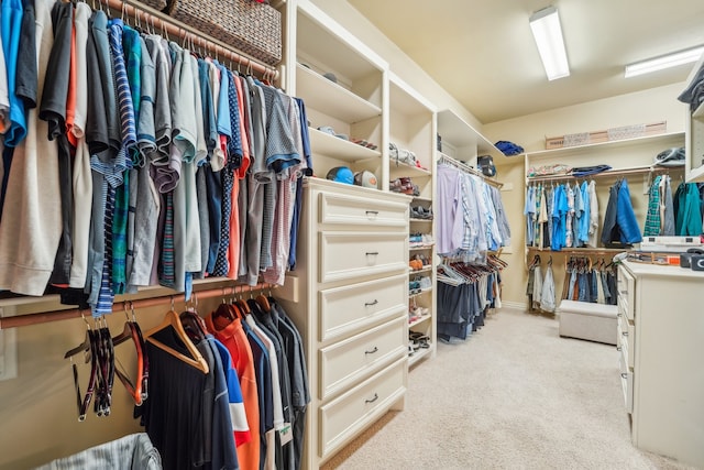 walk in closet featuring light carpet