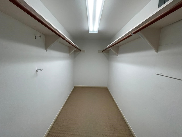 walk in closet with light carpet