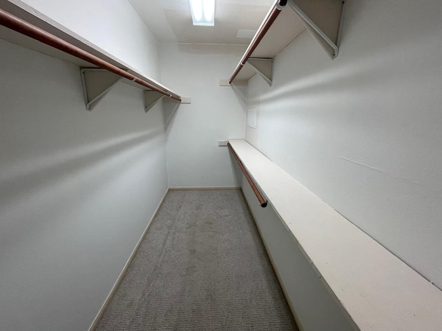 walk in closet featuring carpet flooring