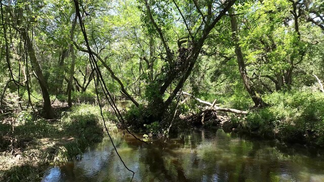 TBD County Road 121, Garwood, TX 77442