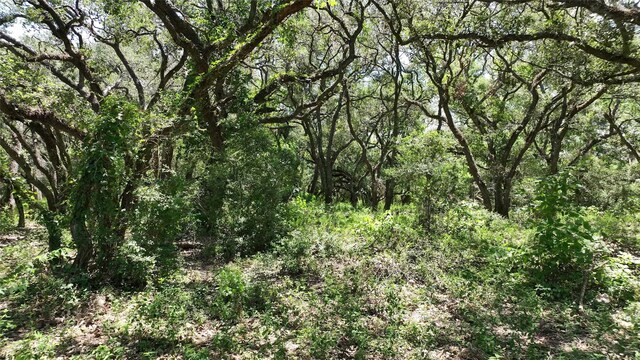 TBD County Road 121, Garwood, TX 77442