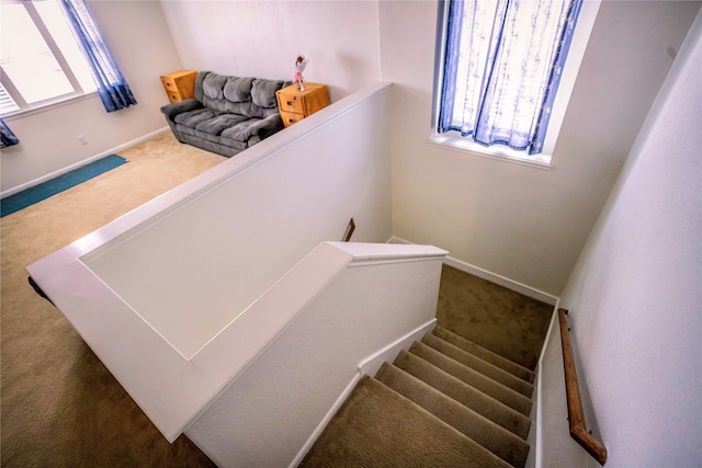 stairs featuring a healthy amount of sunlight and carpet