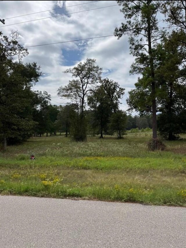 Listing photo 2 for 0 Dahlia Rd, Huntsville TX 77320