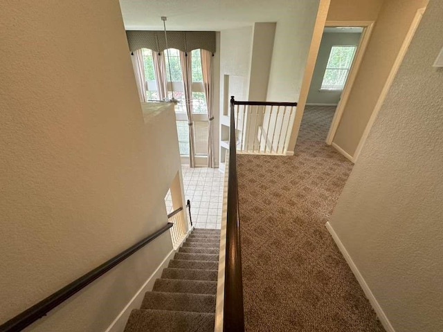 staircase featuring carpet floors and a wealth of natural light