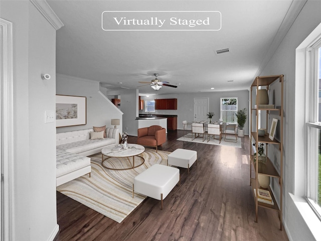 living room with ceiling fan, dark hardwood / wood-style flooring, and ornamental molding