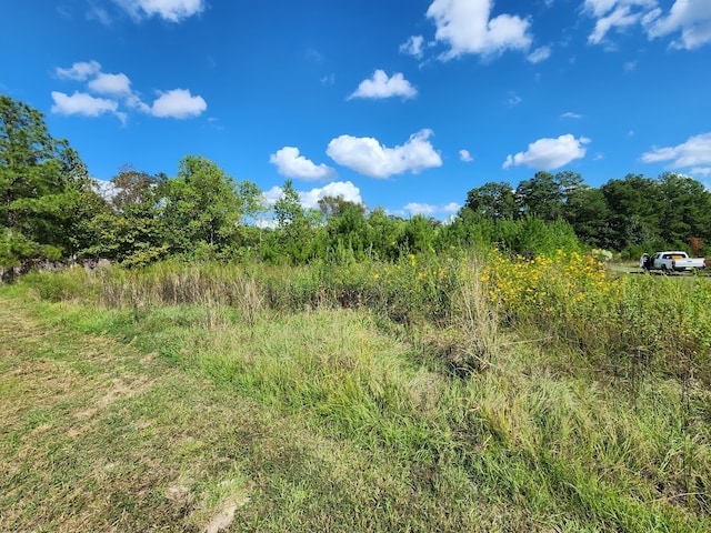 12197 Fm 2025th Rd, Cleveland TX, 77328 land for sale